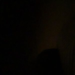 Meet your Posher, Carson